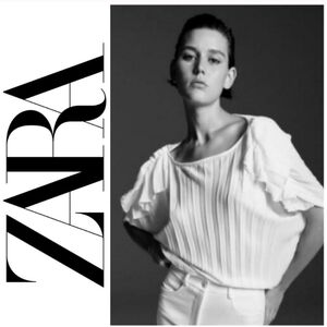 Zara Pleated Chiffon Batwing Blouse Top, White